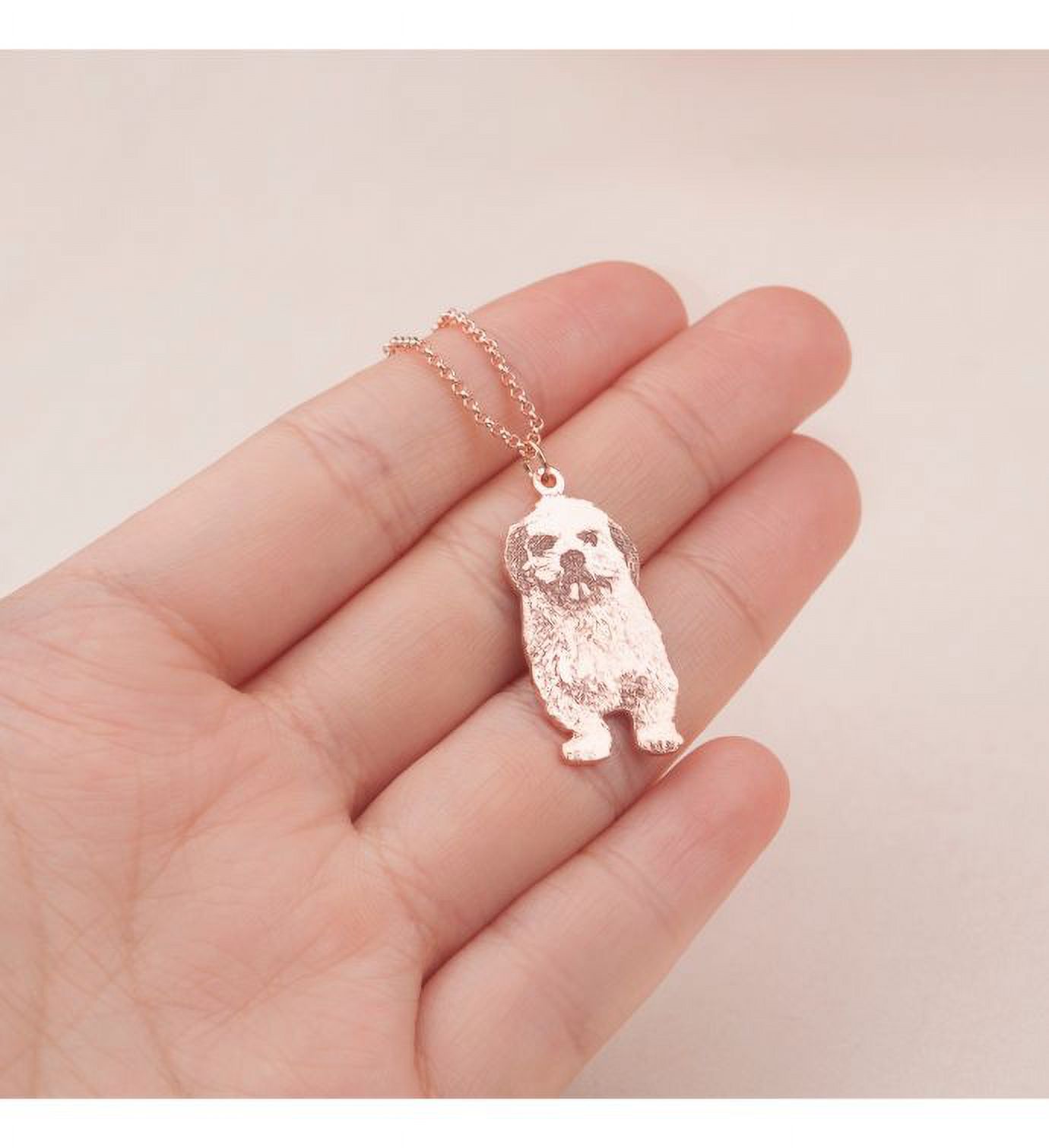 Anavia Sterling Silver Custom Your Pet Photo Necklace - Engraved Cat Picture Necklace - Personalized Dog Picture Charm Necklace - Pet Memorial Necklace - Pet Lover Gift for Her