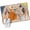 Light Brown Oatmeal Dark Yellow, variant on Western Cowboys Entryway Rug 2'x3' Non Slip Front Door Mats, Vintage Boho Abstract Cactus Beige Entrance Rugs Indoor Outdoor Carpet, Washable Floor Mats Small Area Rug for Bedroom Kitchen