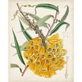thumbnail image 3 of Curtis 15x18 Black Modern Framed Museum Art Print Titled - Delicate Tropicals VI, 3 of 5