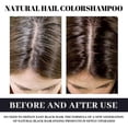 thumbnail image 5 of EELHOE Polygonum multiflorum shampoo white to black, anti-dandruff, anti-itch, anti-hair loss cleansing hair root, smooth, 5 of 5