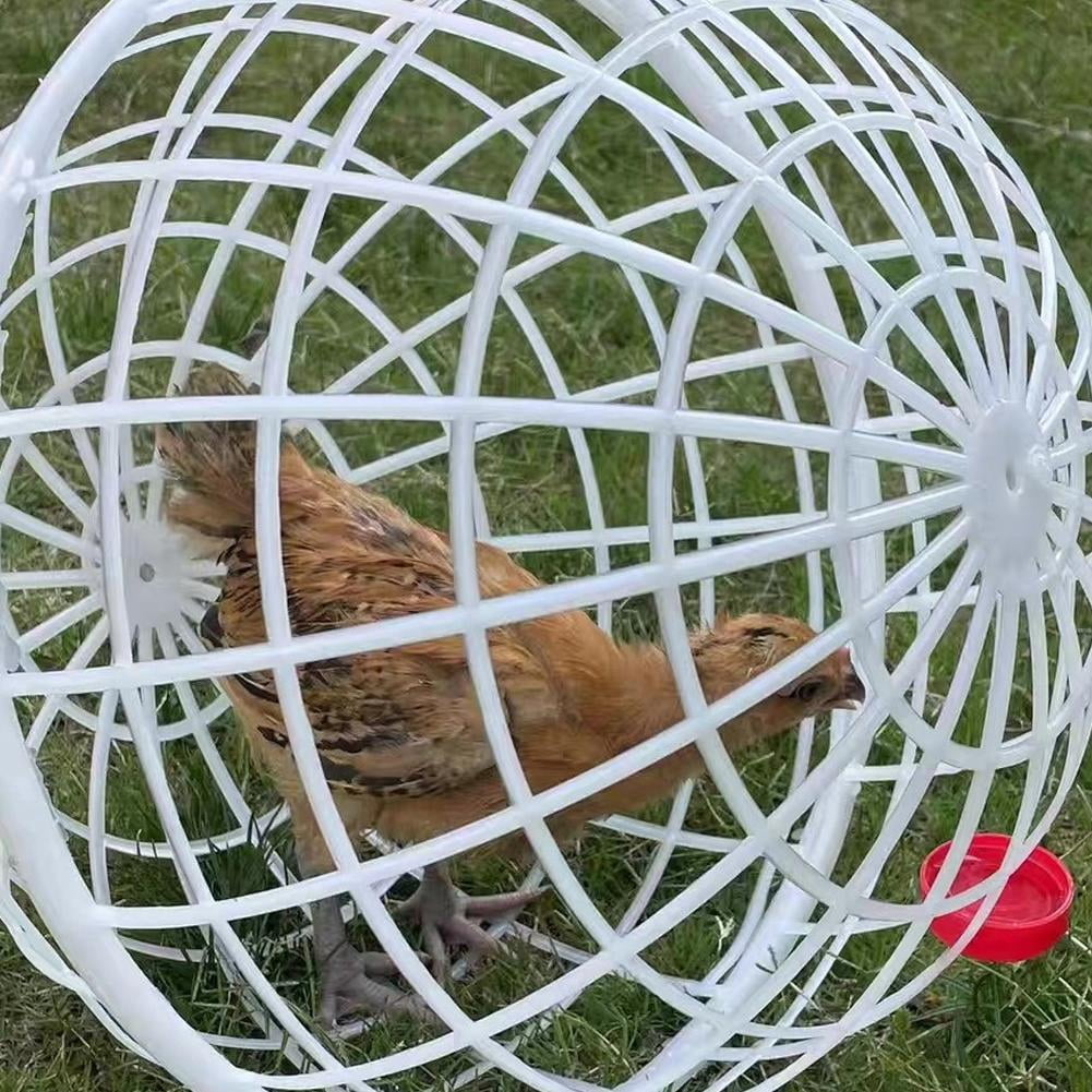 Pet Exercise Ball for Chickens & Pigeons, Mobile Exercise Sphere Coop for Small Animals, 12"/16"/20" Available