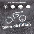 thumbnail image 5 of Team Obsidian: Fundas Para Bicicletas Almacenamiento O Transporte/Viajes Al Aire Libre Resistentes Al Agua 600D 300D O 210D Oxford Ripstop L Xl Xxl Para 1, 2 O 3 Bicicletas Compatible Con Bicicletas E, 5 of 5
