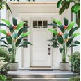 thumbnail image 4 of 7-foot artificial bird of paradise tree con 17 trunks, faux leaves y 3 flowers - ideal para para indoor y outdoor moderno decor, perfect housewarming gift (1 pack), 4 of 6