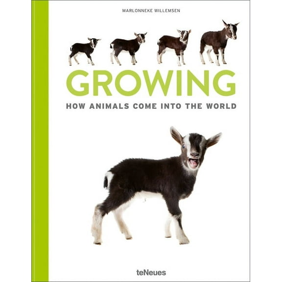 Growing : How animals come into our world (Hardcover)