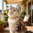 thumbnail image 4 of EGNMCR Faux Pearl Dog Collar With Soft Ceramic Balls For Small Medium Dogs And Cats Adjustable Pet Necklace PU Pets Collar, 4 of 7