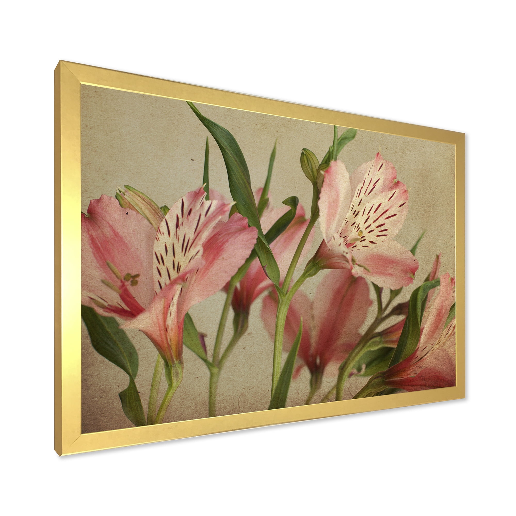 Designart 'Alstroemeria Flower Retro ' Traditional Framed Art Print