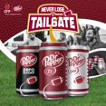 Dr Pepper Soda, 12 Cans, 12 fl oz Each with 4x Disposable Cups ...
