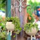 thumbnail image 4 of Flower Pot Wall Planter Swing Face Planter Pot Resin Smiling Face Planter Wall Hanging Planter Gard, 4 of 5