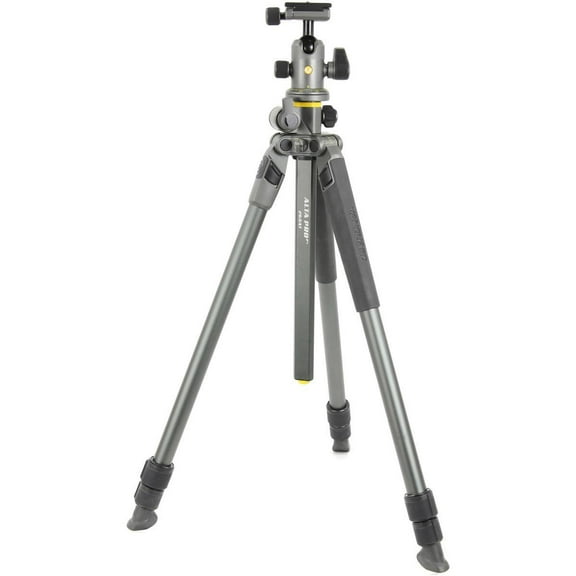 Vanguard Alta Pro 2  263AB 100 Aluminum Tripod with Alta BH100