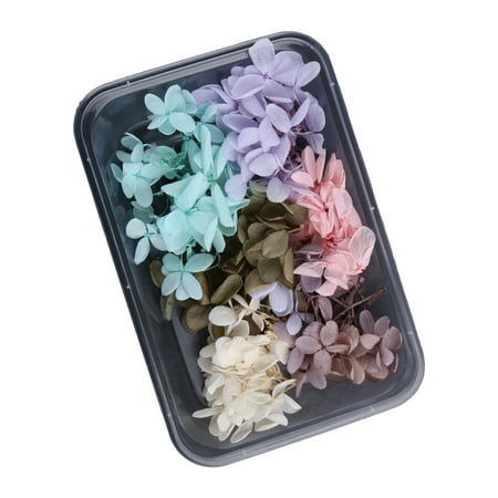 

1 Box Dried Flowers Dry Plants for Aromatherapy Candle Dried Pressed Flowers Handmade DIY Candle UV Expoxy Resin Fillings Jewelry Pendant Crafts Floral Decorations