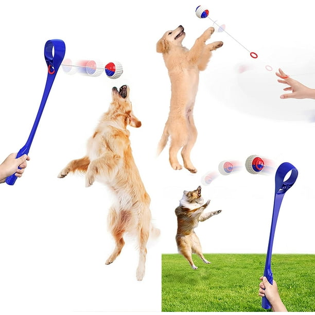 Dog ball stick deals