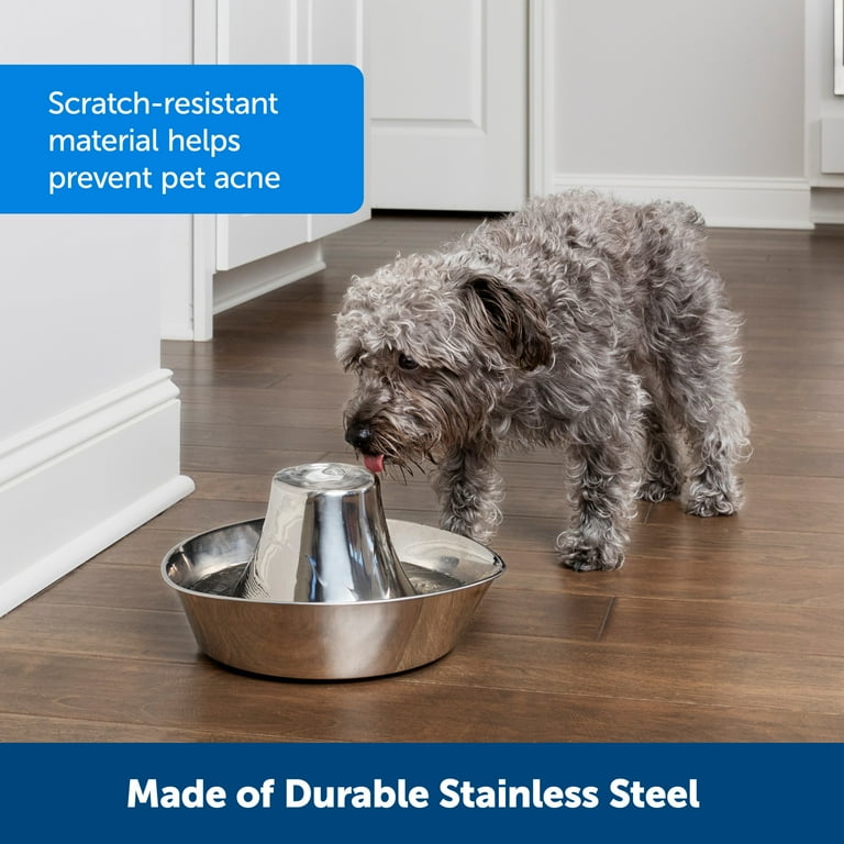 AsFrost Dog Food Bowls Stainless Steel Pet Bowls & Dog Water Bowls with  No-Spill and