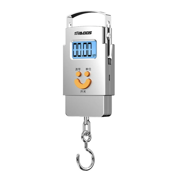 Báscula digital portátil de Acero inoxidable Inteprter con pantalla LCD compacta y de alta precisión