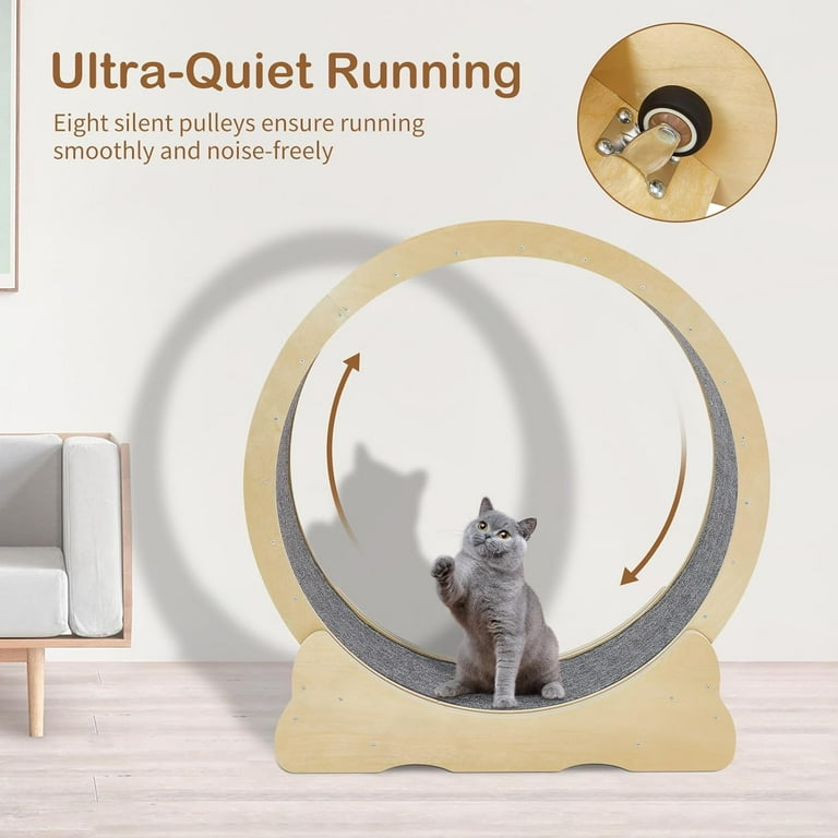 Cat Exercise Wheel Ferris Cat Wheel Exerciser for Indoor Cats Cat Treadmill Wheel with Carpeted Runway One Fast Cat Exercise Wheel Cat Runner Great