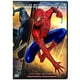 Spider-Man 3 (Bilingue) – image 1 sur 1