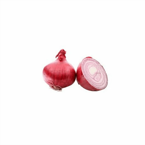 Onion Red Burgundy Great Heirloom Garden Vegetable Seeds by Seed Kingdom (1 Oz Seeds)