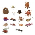 4 Sets Sea Animal Life Cycle Models of Salmon Horseshoe Crab Sea Turtle