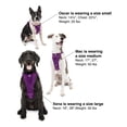 thumbnail image 6 of Kurgo Tru-Fit Smart Dog Harness, Quick Release Buckles, Front D-Ring for No Pull Training, 6 of 9