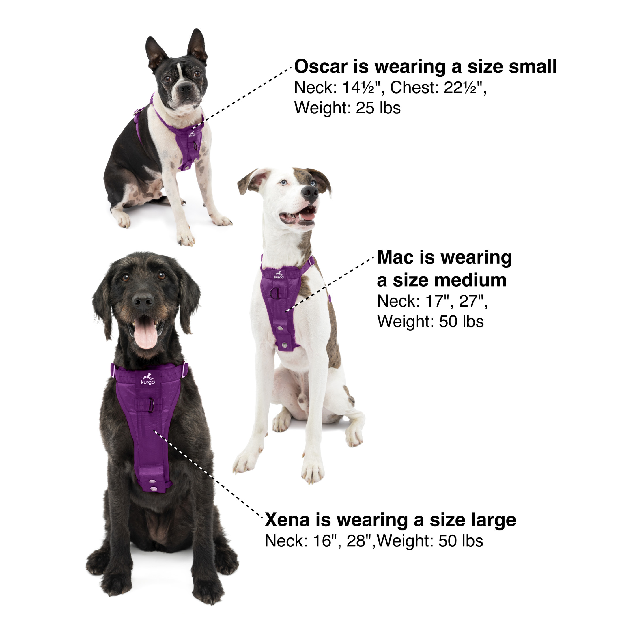 Kurgo Tru-Fit Smart Dog Harness Purple photo 6