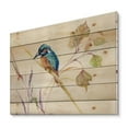 thumbnail image 2 of Designart 'Common Kingfisher Bird On Branch' Traditional Print on Natural Pine Wood, 2 of 5