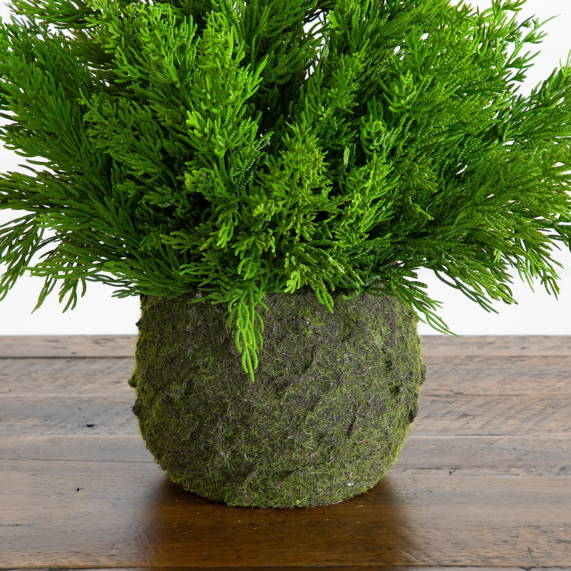 18in. Artificial Real Touch Winter Cypress Bush in Moss Planter