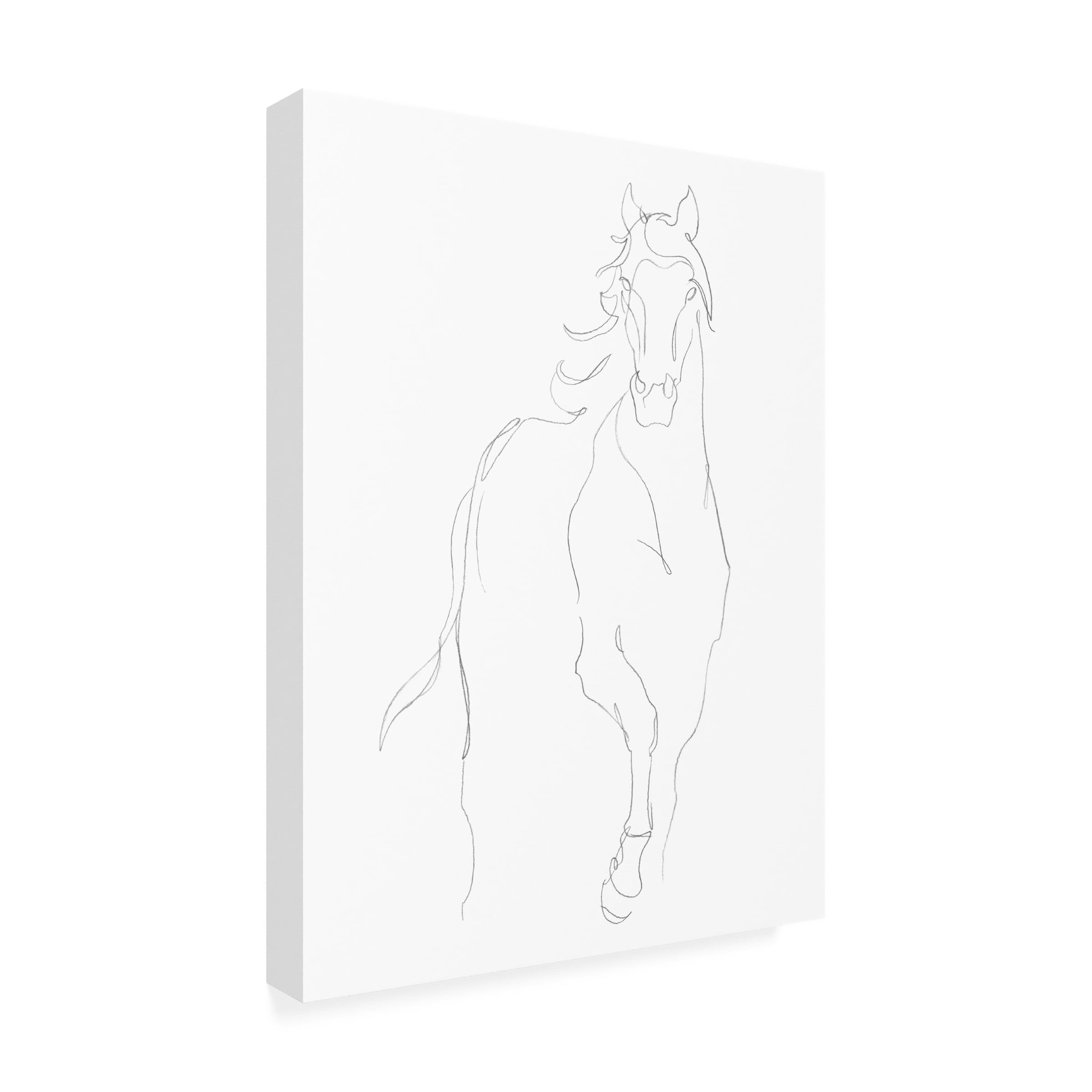 Ethan Harper 'Horse Contour I' Canvas Art