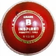 Inspired Practice Ball - Grade B Cricket Ball White
