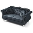thumbnail image 5 of Glory Furniture Hollywood Velvet Loveseat in Black, 5 of 6