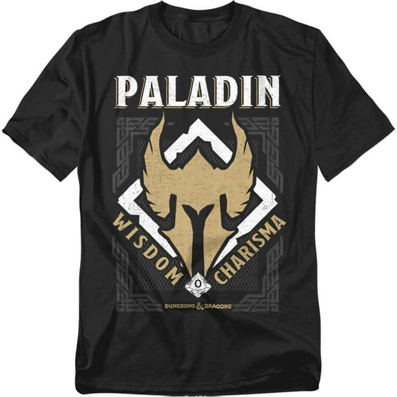 Dungeons And Dragons Rogue T-Shirt Paladin Wisdom Charisma Unisex Graphic Tee For Men & Women