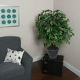 thumbnail image 3 of Vickerman 4' Artificial Ficus Extra Full Bush, Gray Round Plastic Container., 3 of 3