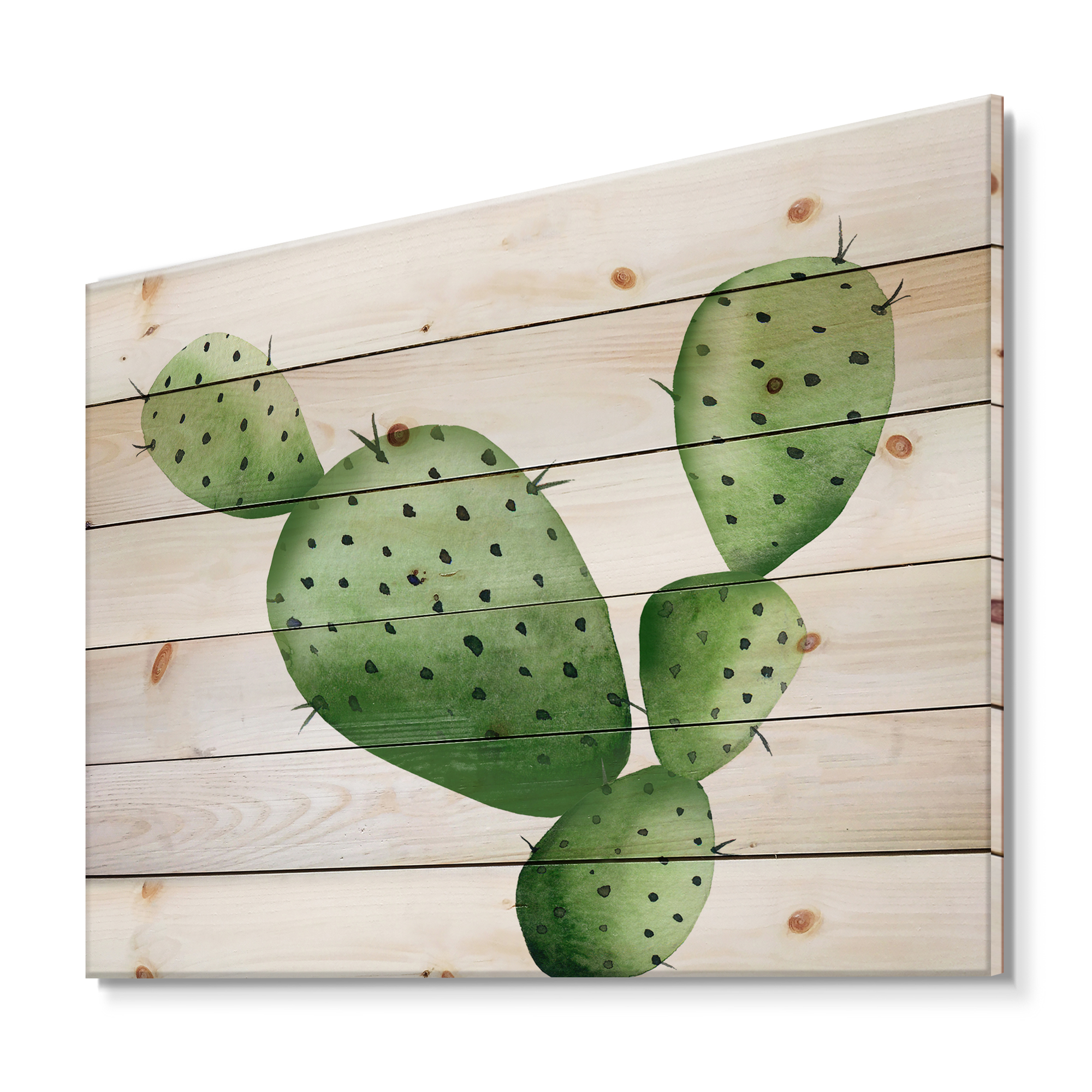 Designart 'Close Up Green Southwestern Cactus' Botanical Print on Natural Pine Wood