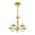 thumbnail image 5 of Livex Lighting Williamsburgh 5 Light Polished Brass Chain Hang/Ceiling Mount, 5 of 15