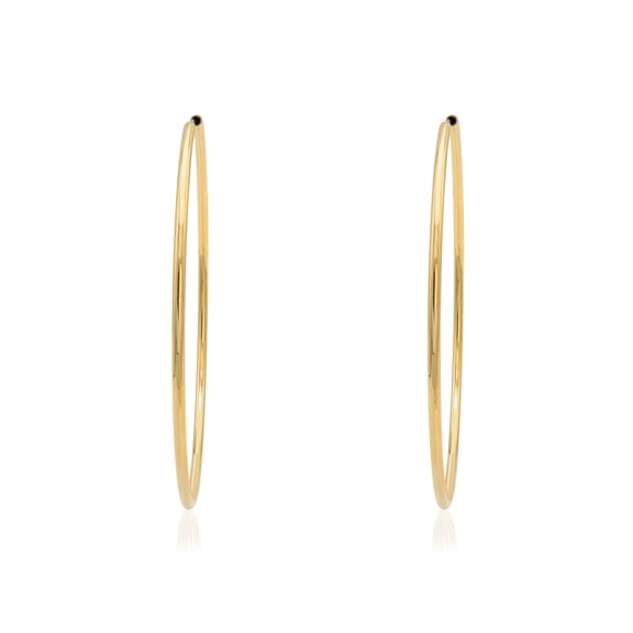 Hypoallergenic Medium Hoop Earrings, Classic Gold Tone Wire Hoops Jewelry Gold Silver