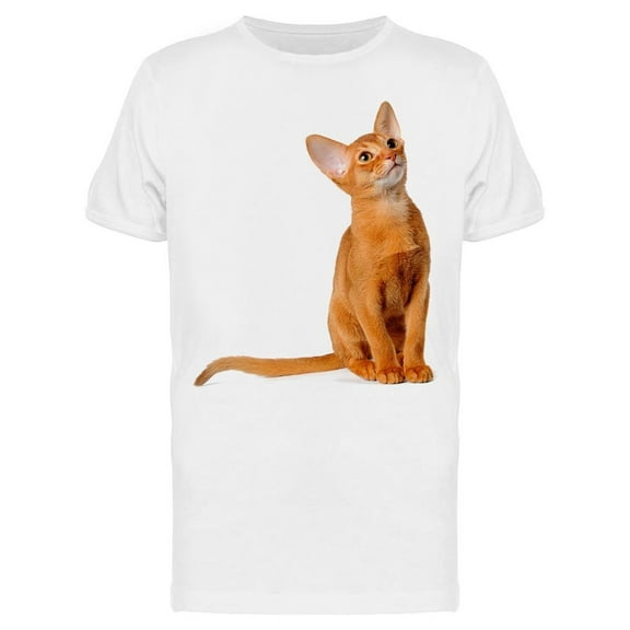 Abyssinian Cat Sitting T-Shirt Men -Image by Shutterstock, Male 3X-Large