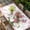 Pink, variant on Pink Tulip Table Cloths for 8 Foot Rectangle Tables, Spring Floral Romantic Flowers Modern Art Wooden Patio Waterproof Elastic Fitted Tablecloths, Washable Rectangular Table Cover for Camping