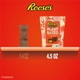 thumbnail image 4 of REESES PLANT BASED OAT CHOCOLATE CONFECTION & PEANUT BUTTER MINIATURE CUPS POUCH (Pack of 6), 4 of 5