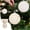 White, variant on RoamHome 2-Pack 10cm Flocked Christmas Ball Ornaments Set, Premium Gift Box, Elegant Tree Hanging Decorations for Xmas Home & Party Decor