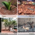 thumbnail image 5 of NOGIS 0.77lb Red Lava Rocks for Plants, Volcanic Rock Horticultural Lava Rock Soil for Landscaping Plants Drainage, Small Lava Rock Gravel for Succulents, Bonsai, Vase Fillers, Terrarium Plants, 5 of 6
