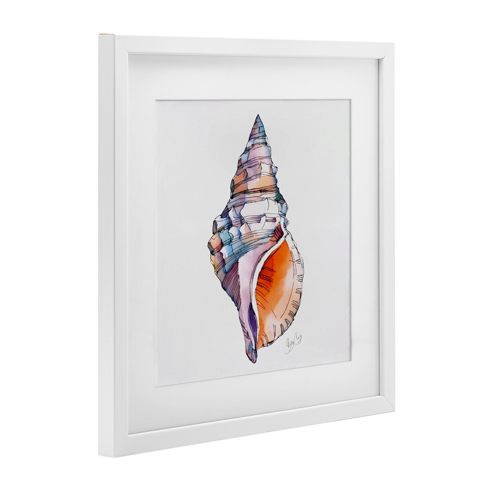 Stupell Industries Sunrise Conch Shell White Framed Print Under Glass, design by Shelly Craig