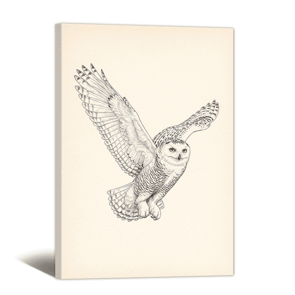Rustic Night Owl Illustration Canvas Wall Art Animal Sketch Picture Print, Vintage Neutral Artwork Minimalist Painting for Bathroom, Home, Living room Decor