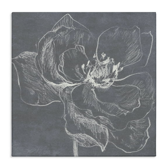 Stupell Industries Magnolia Doodle Outline Plants & Flowers Drawing Wrapped Canvas Art Print Wall Art, 17 x 17