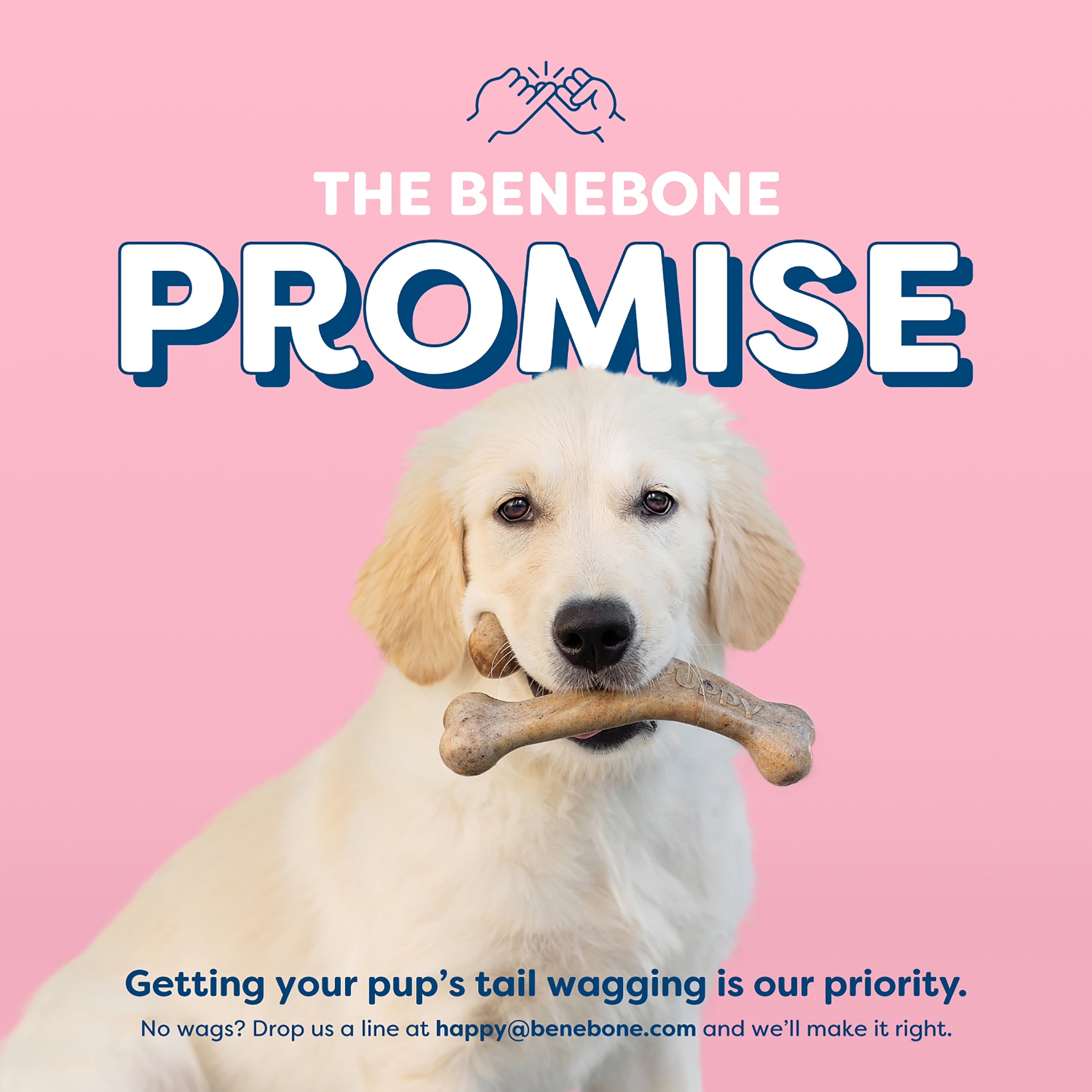 Benebone Essentials Puppy 2-pack Wishbone & Dental Chew Bacon Tiny