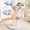 Pastel Color, variant on HITTITE Flower Cat Tree with Scratching Post, 48 Inches Cute Cat Tower with Wooden Branch Design, Aesthetic Modern Cat Climbing Tower with Flower Perches and Hanging Toy for Indoor Cats Large Adult.