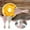 H, variant on EUDIDV Kitchen Spoons Kitchen Multifunctional-purpose Manual Eggs Beater Stirrer Baking Gadgets Mixing Spoons Spoons and Forks Set