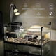 thumbnail image 2 of Reptile heat lamp 4-pack for turtle tanks with UVA UVB light, 2 of 4