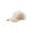 Khaki, variant on Top Headwear Low Profile Brush Cotton Twill Cap - Khaki/Dark Green