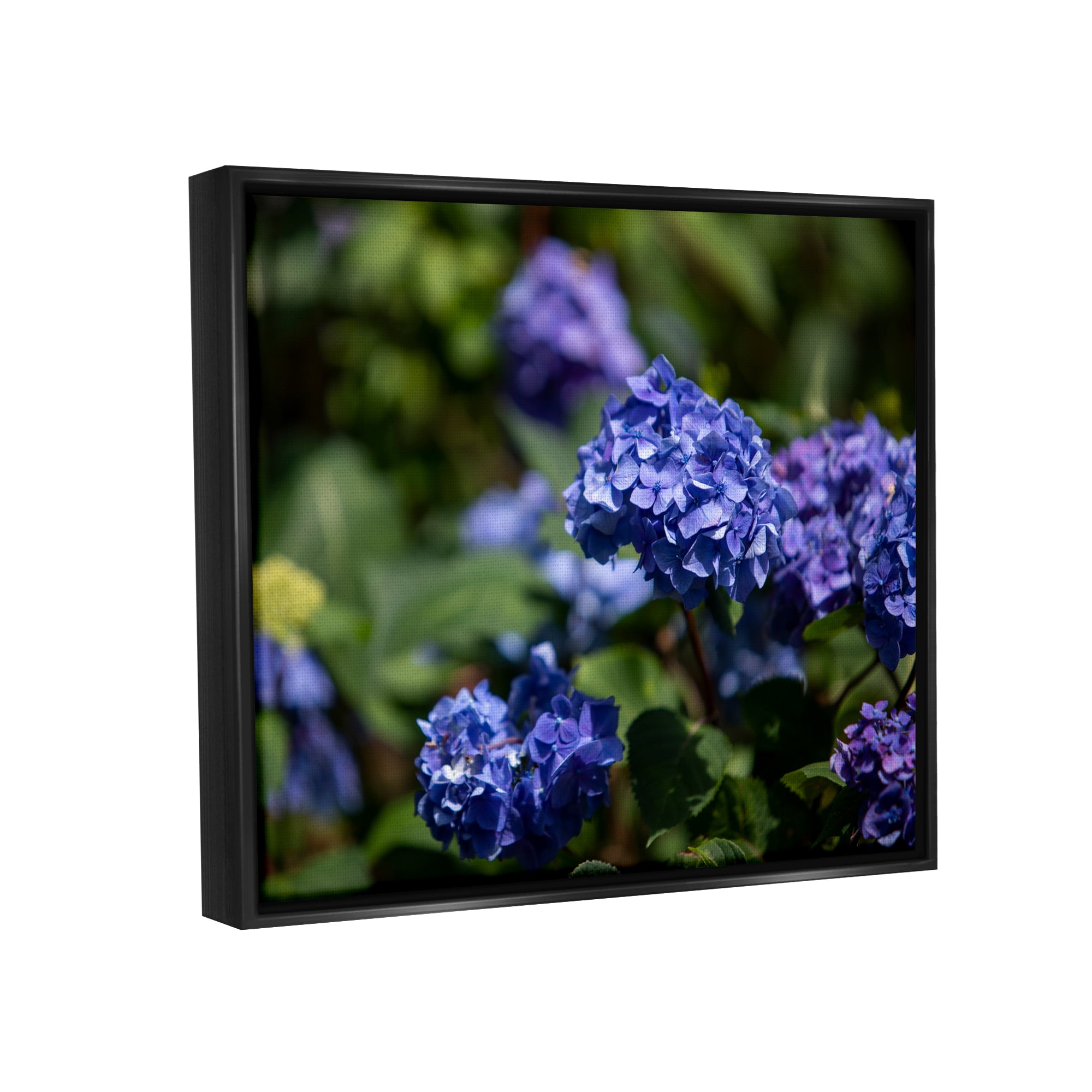 Stupell Industries Purple Hydrangea Photography Botanical & Floral Photography Black Floater Framed Art Print Wall Art, 31 x 25