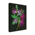 thumbnail image 2 of Trademark Fine Art 'Calliandra Surinamensis I' Canvas Art by Melissa Wang, 2 of 4