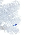 thumbnail image 5 of Northlight Pre-Lit Woodbury White Pine Artificial Christmas Wreath - 24" - Blue Lights, 5 of 7