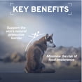 thumbnail image 5 of Forza10 Nutraceutic ActiWet Hypo Support Lamb Recipe Wet Dog Food, 5 of 14